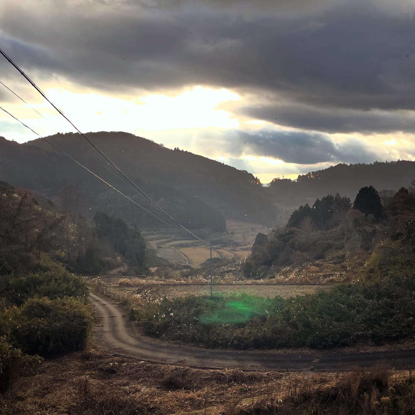 岡山県美咲町の棚田